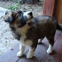 ���� �����, ������������ - ��������� 22 ��� 2012 � ������ ���� ����������