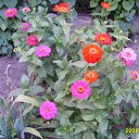 ���� ����, �����-��������� - ��������� 31 ����� 2012 � ������ �������