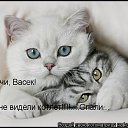 ���� �����, ������������ - ��������� 17 ���� 2010 � ������ ��������