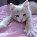 ���� �������, ������� ����, 53 ���� - ��������� 5 ������� 2012 � ������ ���� ����