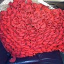 ���� �����, ��� - ��������� 12 ������� 2012 � ������ �������