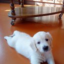 ���� ������, ������� ����, 22 ���� - ��������� 25 ���� 2013 � ������ �������� ������ � ���������� ��� ������������ ����������