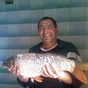 ���� �����, �������, 62 ���� - ��������� 10 �������� 2012 � ������ ���� ����������