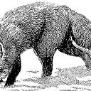 ���� "@����", �����-���������, 25 ��� - ��������� 6 ���� 2010 � ������ ��������-���������