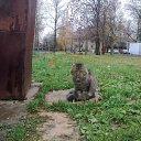 ���� *�������*, ����� - ��������� 25 ����� 2011 � ������ �������