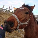 ���� ���������, ������, 62 ���� - ��������� 11 ������� 2012 � ������ ���� ����������