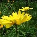  Zima,  -  12  2012   -