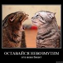 ���� ����������, �������, 46 ��� - ��������� 10 ������ 2011 � ������ �smile�