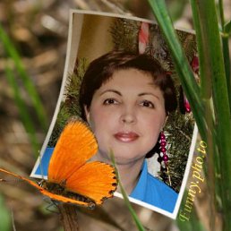 �������, ���������, 53 ����