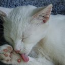 ���� ���������, ������ - ��������� 26 ������ 2010 � ������ ���� �����