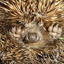 ���� ����. ��������� �� ��!, ������, 72 ���� - ��������� 30 ���� 2011 � ������ ������