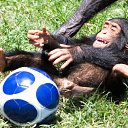 ���� ����� - ���������� ��������!!!, �����������, 56 ��� - ��������� 14 ���� 2010 � ������ �� ����� �������� � ... �� ������