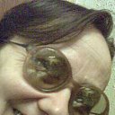 ���� ���� �������������, ������, 73 ���� - ��������� 7 ���� 2013 � ������ ���� ����������