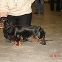 ���� &deg;&bull;*������&deg;&bull;*, ����������, 23 ���� - ��������� 3 ���� 2010 � ������ ��������!�