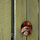 ���� ����� - ���������� ��������!!!, �����������, 56 ��� - ��������� 4 ������� 2009 � ������ ����������� :-)�