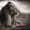 ���� ������, ������, 53 ���� - ��������� 25 ������� 2012 � ������ ���� ����������