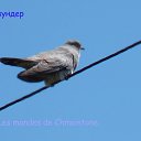   78 .,  -  25  2010   dczxbyf