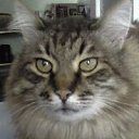 ���� ����, �������, 45 ��� - ��������� 29 ���� 2012 � ������ ���� ����������