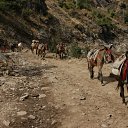 ���� �������, �����, 69 ��� - ��������� 26 ������� 2012 � ������ ������. ������� ������