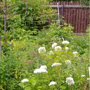 ���� �������, ������, 71 ��� - ��������� 11 ���� 2012 � ������ ������)))�