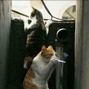 ���� ������� Jherek, ���������, 46 ��� - ��������� 16 ���� 2011 � ������ ��� �� ������...�