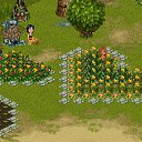 ���� �������, ����������, 36 ��� - ��������� 6 ������� 2012 � ������ �Tropikania�