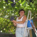 ���������� �� ������� ���� ����������