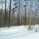 ���� ������, ����������, 64 ���� - ��������� 9 ������� 2012 � ������ �Avataria�
