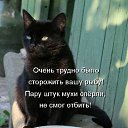 ���� �����, ������������ - ��������� 17 ���� 2010 � ������ ��������