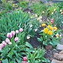 ���� �������, ��������-��-������, 68 ��� - ��������� 9 ������ 2013 � ������ ������ ��������