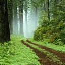  Brigita, , 62  -  16  2010    