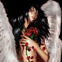  ( ), , 40  -  17  2011   