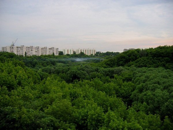 Каменный лог липецк фото Фотоальбом "Мои фотографии" - Мария, Липецк, 58 лет