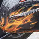 ���� ���������, �����-���������, 54 ���� - ��������� 10 ������� 2009 � ������ �����������,���� ������.�