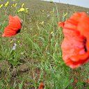 ���� �������, ��������, 62 ���� - ��������� 27 ����� 2013 � ������ �����������