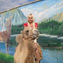 ���� �����, ��������� - ��������� 5 ���� 2013 � ������ ���� ����������