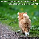 ���� ��������, �������� - ��������� 23 ����� 2012 � ������ �������� ��������