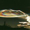 ���� ������� Cat's., �����, 43 ���� - ��������� 22 ������� 2010 � ������ ����� �������� ������