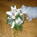 ���� Katkas, �������, 45 ��� - ��������� 2 ������ 2009 � ������ ����������