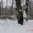 ���� ������, ������������, 69 ��� - ��������� 13 ������� 2013