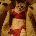 ���� ���������, ���������, 47 ��� - ��������� 29 ���� 2010 � ������ �������