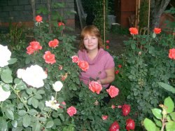 �����, �������, 56 ���