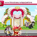  , , 36  -  3  2011   PetLove