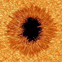 ���� ��������, ����, 68 ��� - ��������� 29 �������� 2011