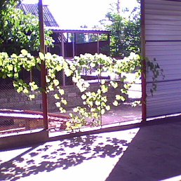 ���� �������, ���������, 48 ��� - ��������� 29 ������ 2012