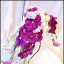 ���� �����, ������, 62 ���� - ��������� 14 ���� 2013 � ������ ���� ���������