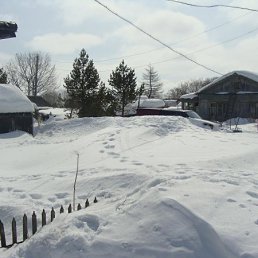 ����� �������?