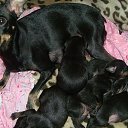 � ���� � �����������))) �� ������� ���� ����������