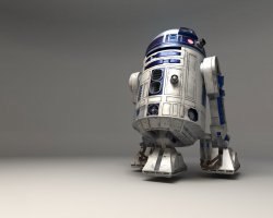 ���� �����, ���, 65 ��� - ��������� 21 ������� 2013