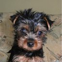 ���� Alik, ������������, 62 ���� - ��������� 9 ����� 2012 � ������ ���� ����������